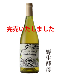 2015年シャルドネ野生酵母