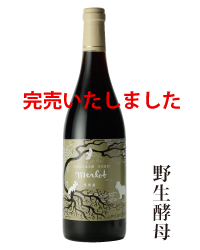 2014年メルロ野生酵母