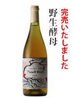 野生酵母ピノ