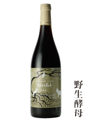 2014年メルロ野生酵母