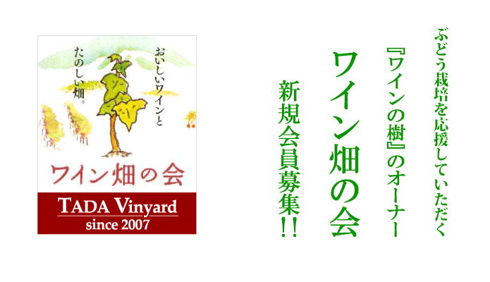 ワインの樹のオーナー