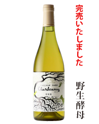 2017年シャルドネ野生酵母
