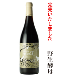 2017年メルロ野生酵母
