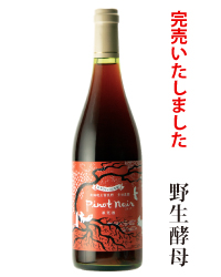 2017年ピノ・ノワール(赤)野生酵母