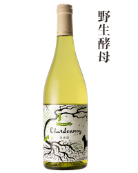 2019年シャルドネ野生酵母