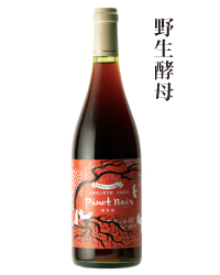2019年ピノ・ノワール(赤)野生酵母